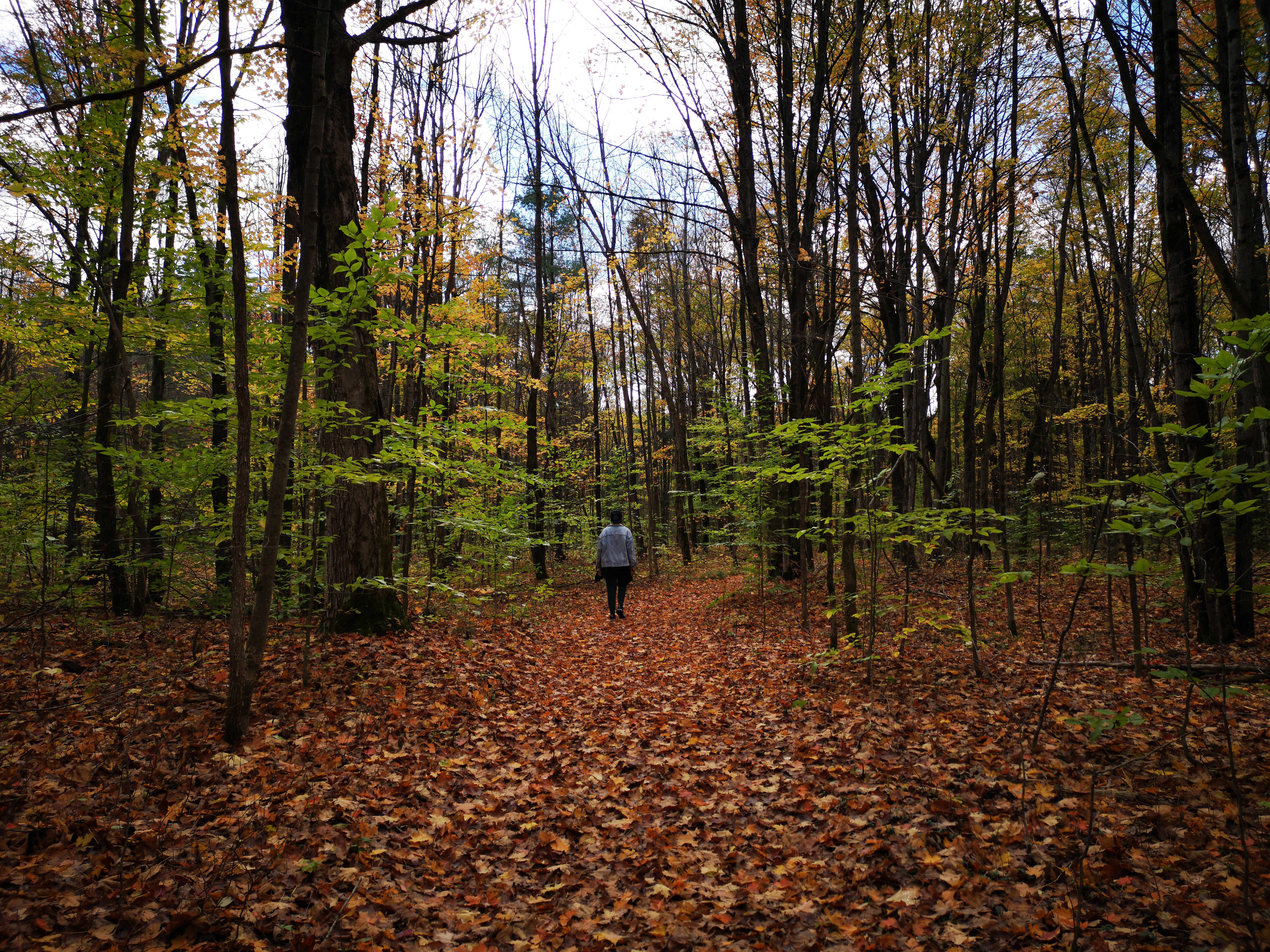 Urban twilight — glass and cobalt tones.